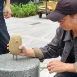 每一隻鳥兒都有著獨特的姿態(tài)和表情，彷彿在述說著它們自身的旅程與故事。