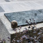 選用基地的石頭來做街道家俱，運用此塊土地生長出來的原石，透過人的創(chuàng)造，分享土地與建築之間的對話及溫暖守護的連結(jié)。 