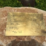 鐵樹與貓，樹屋與鳥，彼此共鳴出有溫度的故事，在此地生根萌芽。