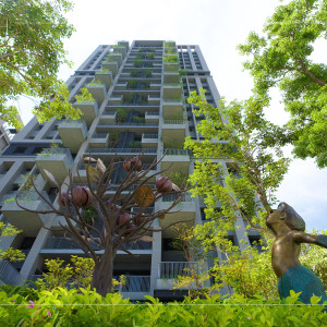 等待風(fēng)起、河畔青青