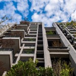 建築造型與綠化 實(shí)景圖