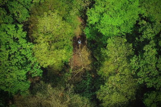 鳥瞰東光園道光景，築森鄰以氧森綠海為伴。