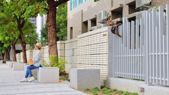 換上一層新的人行道磚與錯落的街道座椅，給你我駐足停留的時刻，瑯瑯書聲的作伴，加上每日的朝陽、餘暉，為眼中的風(fēng)景，添上一份迷人色彩。