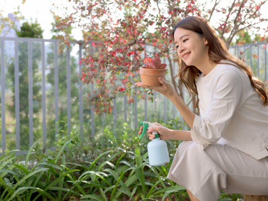 捧起微景，端看大塊美景的縮影。葉片勃發(fā)、欣欣向榮，與『大塊森濤』的靜好歲月相呼應(yīng)。