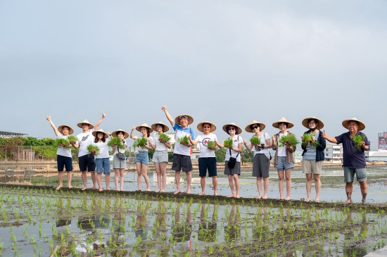 大暑之日，新業(yè)建設(shè)的大家長 穆椿松名譽董事長(右七) 與 卓勝隆董事長(右六)帶領(lǐng)各部門同仁，一大清早，來到契作認養(yǎng)的霧峰田間，體驗農(nóng)家插秧盛事。