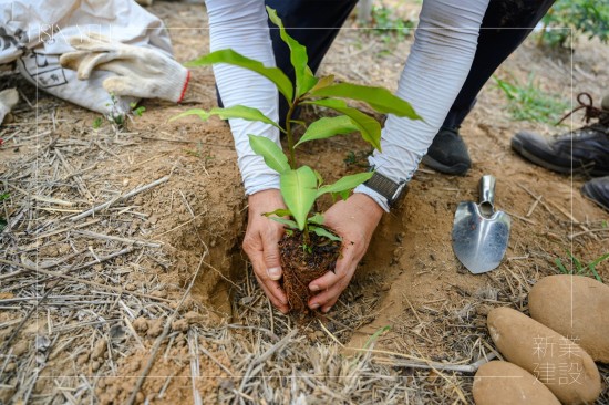 由新業(yè)建設(shè) 卓勝隆 董事長種下新業(yè)團(tuán)隊(duì)的第一棵小樹苗，滿懷心中希冀，期盼平安順利長大，為大肚山增添另一份生機(jī)。