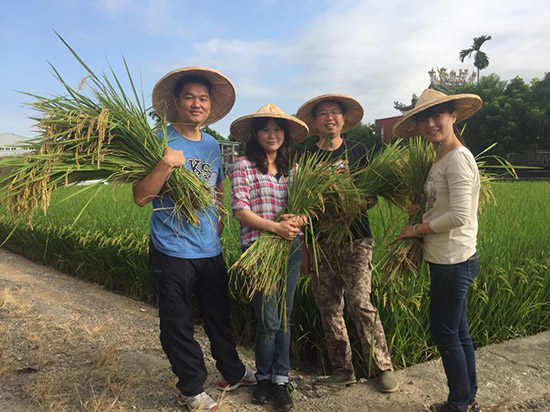 手握一畝田，回以這片土地最敬虔的溫柔。