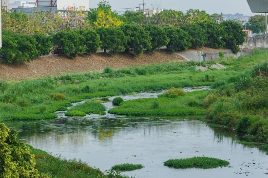 蜿蜒的筏子溪與新業(yè)做鄰居已經(jīng)有一段年月，縱長的河道是小魚小蝦們的家，讓我們一起保護牠們的家園，付出行動愛地球。