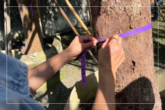 選定每棵樹木後，會在樹幹繫上綁樹帶做為紀錄，堅持尋樹的原則，維持護樹的理念，保持愛樹的心。