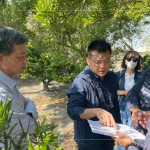 即使是一棵樹的規(guī)劃，也需方方面面、適居適所，為住戶帶來最能契合生活的好鄰居，打造自在森活的綠意空間。