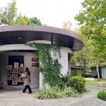 綠蔭盎然、四年的照護，讓爬藤植物悄悄包覆在「新業(yè)書席」之上。此次參與鐵道文學特展，書席新增鐵道文學主題書籍，讓大家也可以一覽鐵道之美。