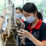 用雙手炙熱的溫度，一捏一壓，棉繩編綁，一串串的美好心意，在佳節(jié)時刻為長輩們獻上祝福。