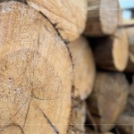 細(xì)看木紋的肌理、柔和，展現(xiàn)獨(dú)一無二的歲月，自然色澤，不僅帶來舒心感受，也能提升居家空間質(zhì)感。