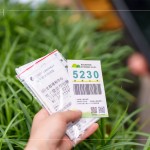 當(dāng)天新業(yè)職人們不只親力親為的為大肚山種下希望的樹苗，也捐出發(fā)票，為臺灣淺山森林再出一份力，也邀請更多的人一起關(guān)注 ＃我愛山林_5230。