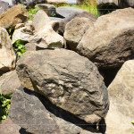 每一顆石頭背後乘載無盡的歲月，塵土與大地的繾綣，風吹水流，留下獨特紋理、歷史刻痕，堅毅的外殼更富含著溫柔的故事。