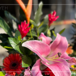 良辰吉日，透過(guò)聲聲祝禱，繫起天地與人之間的對(duì)話，期盼2024年完工的【築森鄰】完美收尾。