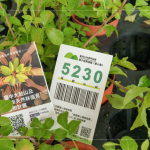 當(dāng)天新業(yè)夥伴們不只身體力行的為苗木進(jìn)行換盆作業(yè)，也捐出發(fā)票，為臺(tái)灣淺山森林再出一份力，也邀請(qǐng)更多的人共同關(guān)注 ＃我愛山林_5230。