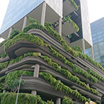 新加坡皮克林賓樂雅酒店