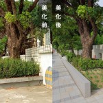 「幫近20棵的茄苳樹換新家」－因原有的花臺過小，喬木生長空間有限，新業(yè)團(tuán)隊重新打造舒適的巢穴。