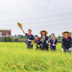 每逢秋旬，稻田阡陌相連，瀰漫著稻草與泥土的芬芳，成就了一串串飽滿稻穗，在秋收時(shí)節(jié)，一同感受來自大地的禮贊。