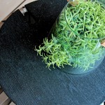 春天的指尖輕輕撫上玻璃罐，紛紛的綠意藏不住，也竄出枝枒熱情回應(yīng)著春天的問(wèn)候。