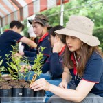 確切的紀(jì)錄樹(shù)苗品種及分盆日期，分盆完的小樹(shù)苗會(huì)統(tǒng)一放在中央培育區(qū)，待長(zhǎng)到30CM至1M再種到大肚山。