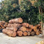 透過素材再利用，延續(xù)了木材的價值，新業(yè)積極響應(yīng)永續(xù)發(fā)展，打造與自然共存的建築。