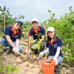新業(yè)建設(shè) 邱正光 副總經(jīng)理(圖中)攜手各部門同仁，益起為大肚山森林當(dāng)起生態(tài)志工。