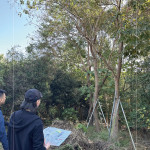 以緞帶為記，牽起『烏臼』與『大塊藏硯』的緣分，靜待時機，在新的落腳處，延續(xù)自然與人文之間的美好記憶。