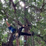 樹林中的「蜘蛛人」，利用腳鎖式（Footlock）快速攀升到切點，時而擺盪、時而穿梭林間，其中技巧有著大大學問。