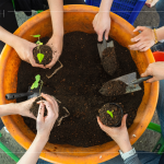 復(fù)育森林，並非將樹種滿，而是選擇適地適種的原生種，透過 ＃樹苗培育，達(dá)到生態(tài)平衡，維持生物多樣性。