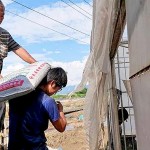 上一代承接給年輕小農的，並不是土耙鋤頭，必須從零開始做起，從一袋袋肥料開始扛起。堅持盡可能讓肥料灑得剛剛好，適量不過量，讓土地更有永續(xù)發(fā)展的餘裕，以善念回應給土地。