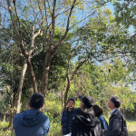 樹形整體飽滿度、分枝錯落的方向，以及360°環(huán)繞視角下，是否能達成美的平衡，皆是選樹時重要的考量。