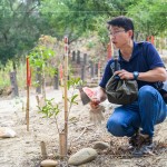 由臺灣山林復(fù)育協(xié)會–蔡智豪 執(zhí)行長 帶領(lǐng)，了解大肚山生態(tài)圈，種植防火樹種與大肚山潛在森林的樹木，抑制大黍草生長，終結(jié)火燒，進(jìn)而讓大肚山恢復(fù)美麗森林的樣貌。