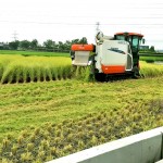 一粥一飯，當(dāng)思來處不易，所扒進(jìn)嘴裡的每一口飯，我們都能想見：此刻，樂天的農(nóng)民正以著最樸實(shí)的笑容，來迎接稻田每一天的欣欣向榮。