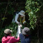 帶上夾子、爬上邊坡，草堆之間可以明確看到這些待清除的「不塑之客」，唯有仔細(xì)尋覓，才能還給河川與自然乾淨(jìng)的家園。