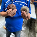 專業(yè)磨石材「造型師」登場！左邊的工具適合硬度較高的花崗巖，右邊則適合切割硬度較軟的大理石，儼然已經(jīng)摸清石材的脾氣與習(xí)性，不同石材也需要不同的工具處理。