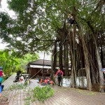 需擬定縝密的攀樹計畫、風險評估，配戴好各式攀爬裝備。安全第一!
感謝「樹沃客」專業(yè)團隊。