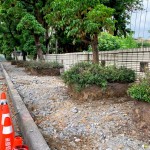 舊有人行道拆除工程，新業(yè)保留原有的樹穴，還給喬木更多的生長空間，美化的同時也善待環(huán)境。