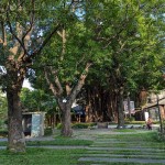 綠意盎然的臺中文學館，有近百株繁盛花草樹木，環(huán)繞日式時代的百年建築，有著說不完、道不盡的人文歷史，不妨親自巡禮一番。