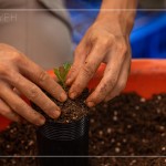 透過(guò)手的溫度，傳遞對(duì)自然環(huán)境的關(guān)懷，一棵樹(shù)是人與土地的連結(jié)，希望透過(guò)努力、堅(jiān)持與分享，讓臺(tái)灣『大肚山–淺山森林』恢復(fù)到應(yīng)有的自然樣貌與內(nèi)涵。