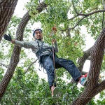 接獲攀樹挑戰(zhàn)的大人們，不惶多讓直攀樹稍，近距離欣賞樹冠的雄偉壯麗