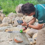 特別挑選顏色鮮豔的『黃金角石』，鋪墊後院生態(tài)水池的底部，即使是一顆顆石頭的規(guī)劃，也需要適居適所。