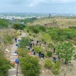 防火林帶建置—保留了野生樹種，種下榕屬植物，透過樹島的母樹大量逸散種子，長出野生樹苗，來加速森林演替、生生不息。