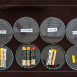 除了油畫棒，講師當(dāng)天還攜帶了其他的創(chuàng)作媒材，並分享各款媒材的成分差異與使用差異，讓創(chuàng)作者日後更能輕易分辨媒材。