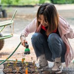 將分盆好的樹(shù)苗放置育苗方盤中，將這些剛搬新家的小樹(shù)苗們澆點(diǎn)水，後續(xù)統(tǒng)一放在中央培育區(qū)，慢慢長(zhǎng)大。