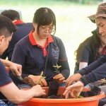 透過(guò)植樹(shù)活動(dòng)落實(shí)減碳淨(jìng)零的計(jì)畫(huà)，新業(yè)希望以行動(dòng)展現(xiàn)對(duì)這片寶島土地的關(guān)懷，齊心打造綠色永續(xù)環(huán)境。