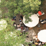 森林裡的春日漫遊，在陽光下放鬆身心，沿著小徑慢慢散步，靜靜地為自己充電，收集生活中的簡單美好。