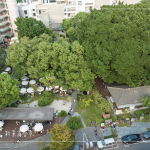 植物茂密繁盛，書香氣息瀰漫，1863坪內(nèi)的百年榕樹，樹大根深的高木，伴隨其他樹種，更顯綠意盎然的景致。