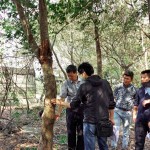 樹(shù)形整體飽滿度、分枝錯(cuò)落的方向，360°觀看下是否皆能達(dá)成美的平衡等皆是新業(yè)選樹(shù)的考量。